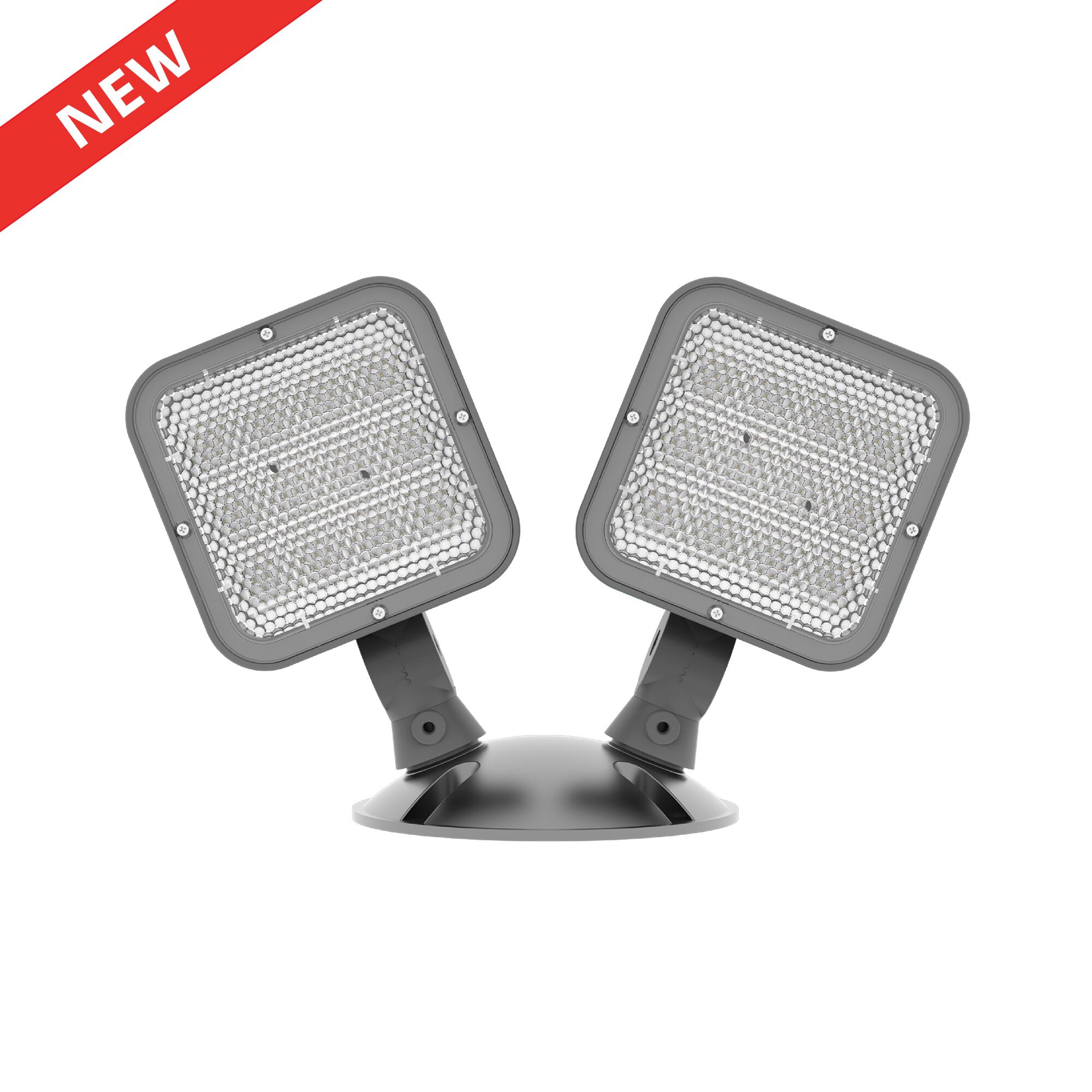 Outdoor Remote Heads Emergency Light