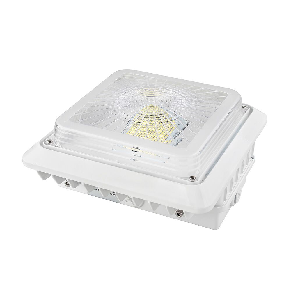 Square Canopy lights